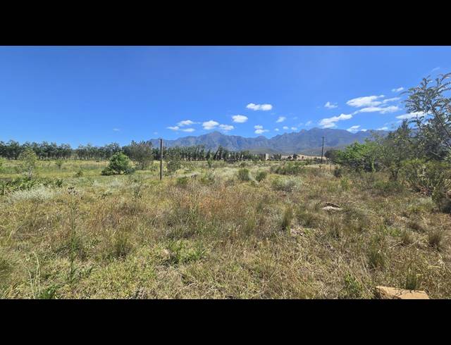 8,627M² FARM FOR SALE IN GREYTON
